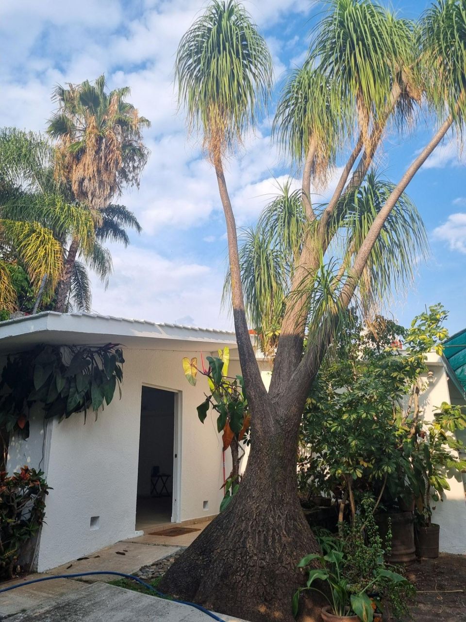 Casas en Vista Hermosa
