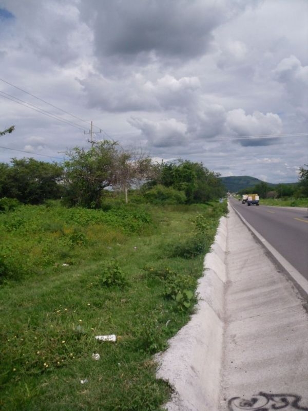 TERRENO EN VENTA ALPUYECA MOR