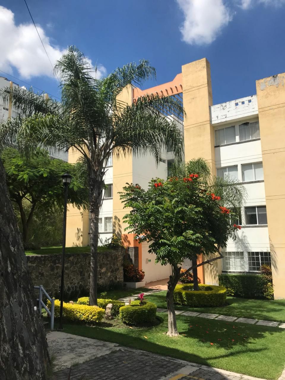 Departamentos en Chipitlan