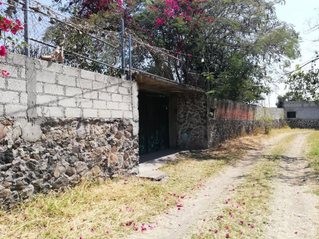 {"esp":"Entrada","ing":""}