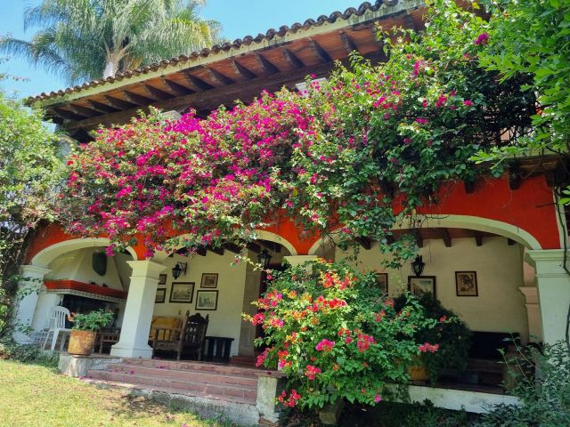 {"esp":"bungalo independiente","ing":""}