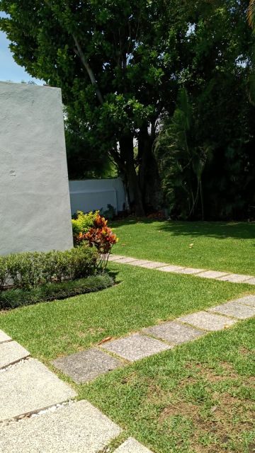 {"esp":"Jardin","ing":""}