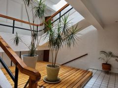 {"esp":"Acceso al Departamento","ing":""}