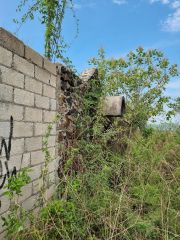 {"esp":"1477 Mts","ing":""}