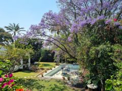 {"esp":"Vista desde el bungalo","ing":""}