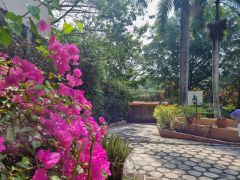 {"esp":"Acceso principal","ing":""}