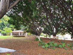 {"esp":"\u00c1rea com\u00fan","ing":""}