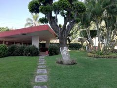 {"esp":"\u00c1rea Com\u00fan","ing":""}