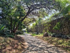 {"esp":"Bonita privada de 4 casas","ing":""}