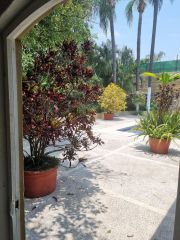 {"esp":"paso de serivicio","ing":""}