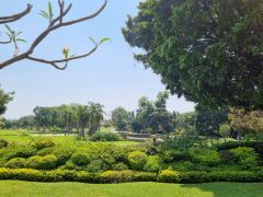 {"esp":"Vista al campo de golf","ing":""}