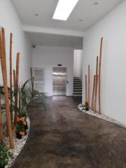 {"esp":"Entrada principal","ing":""}