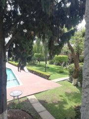 {"esp":"Alberca y palapa","ing":""}