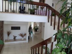 {"esp":"Entrada principal","ing":""}