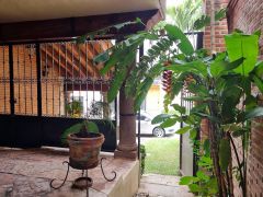 {"esp":"Acceso principal","ing":""}