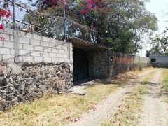 {"esp":"Entrada","ing":""}