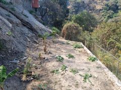 {"esp":"espacio para huerta","ing":""}