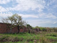 {"esp":"Otro terreno ahi mismo","ing":""}