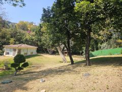 {"esp":"Bungalo Independiente o salon de juegos","ing":""}