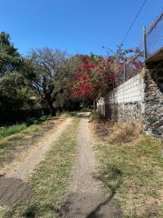 {"esp":"Calle","ing":""}