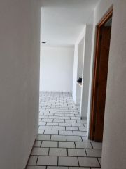 {"esp":"Distribuidor","ing":""}