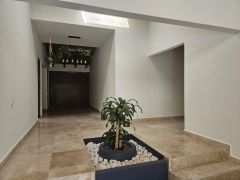 {"esp":"Techos doble altura","ing":""}