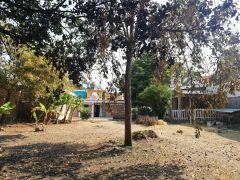 {"esp":"Jardin","ing":""}