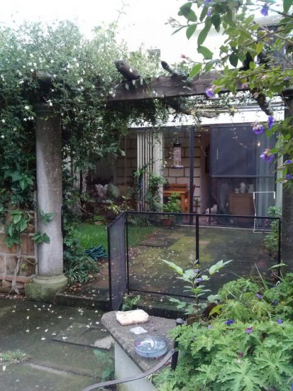 Condominios en Santa María Ahuacatitlan