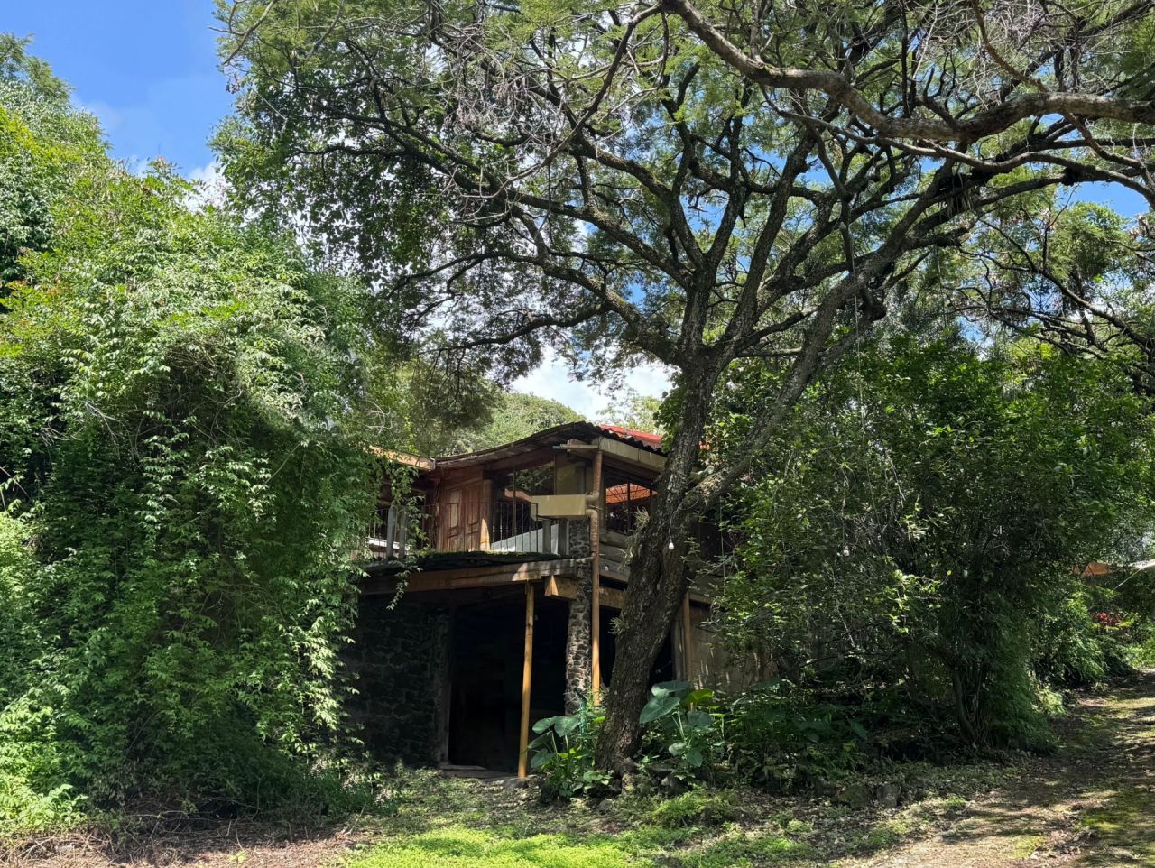 Casas en Santo Domingo Ocotitlan