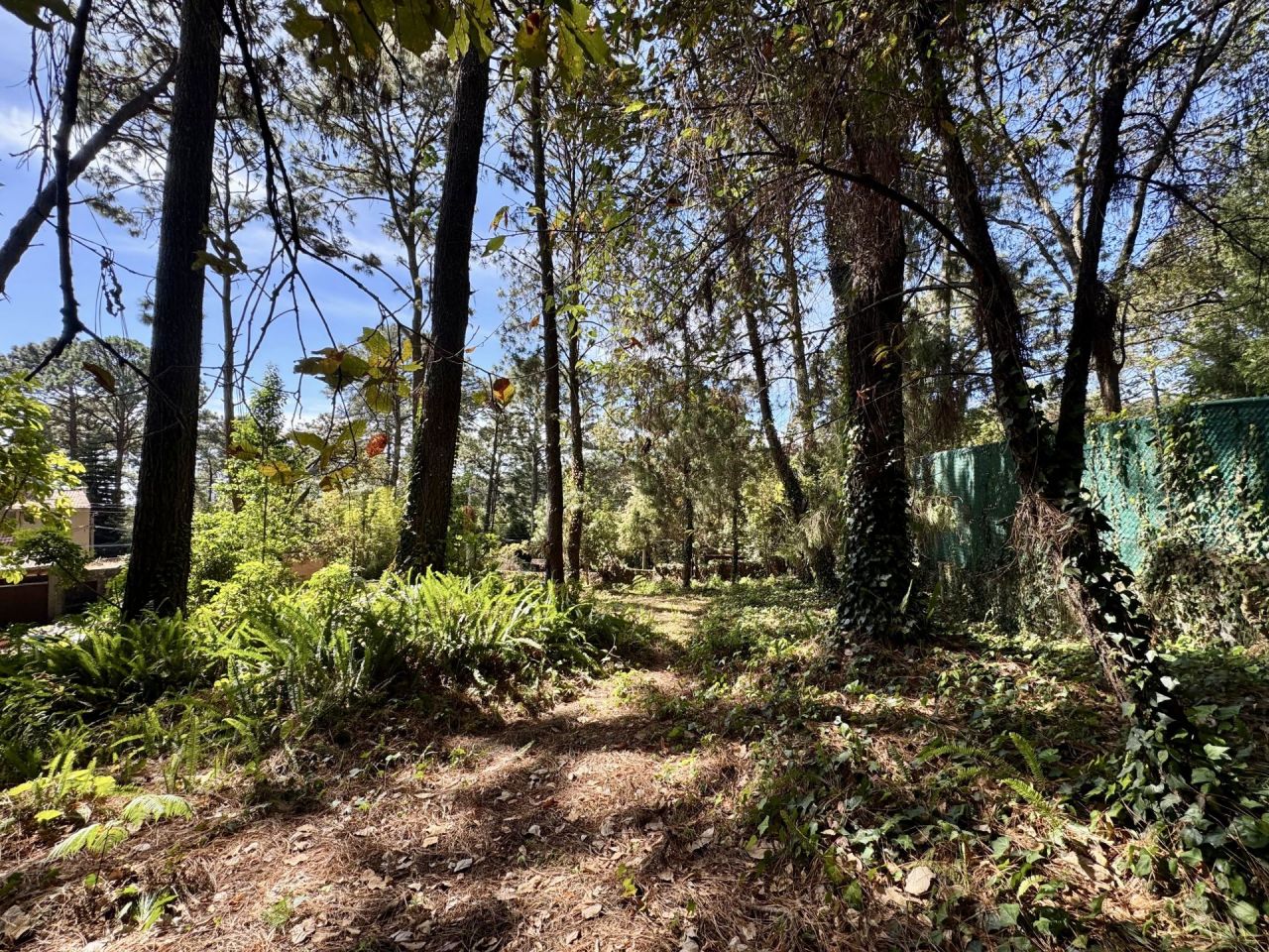 Terrenos en Del Bosque