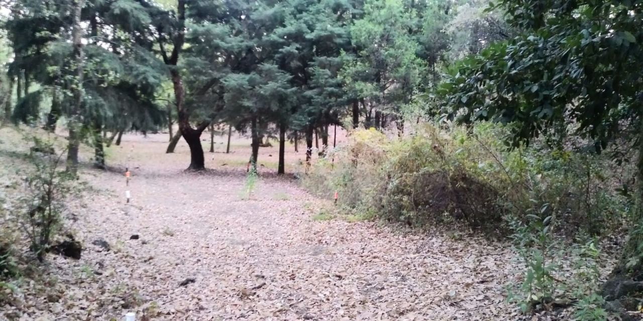 Terrenos en Los Ocotes