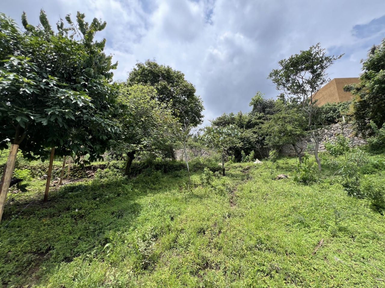 Terrenos en Amatlan de Quetzalcoatl