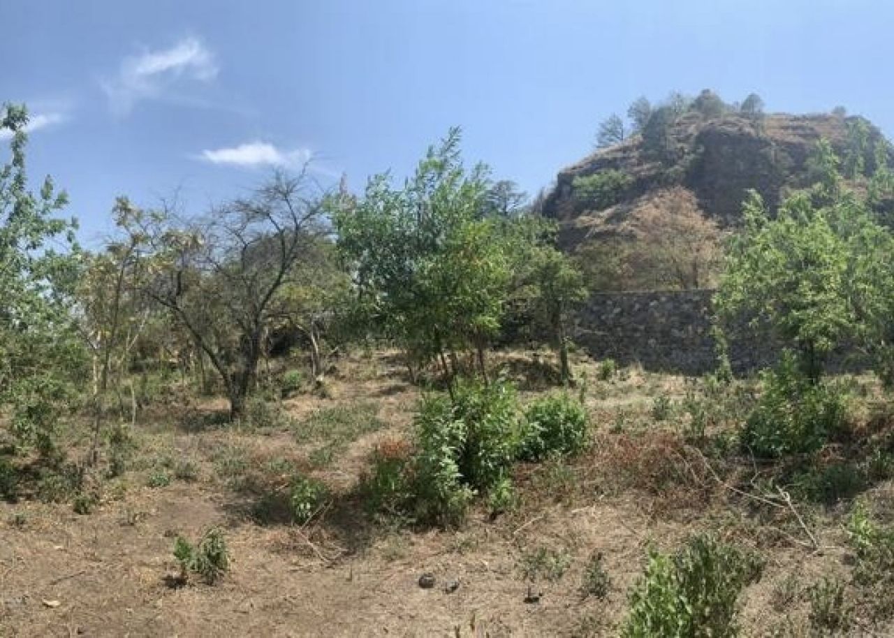 Terrenos en Santo Domingo Ocotitlan