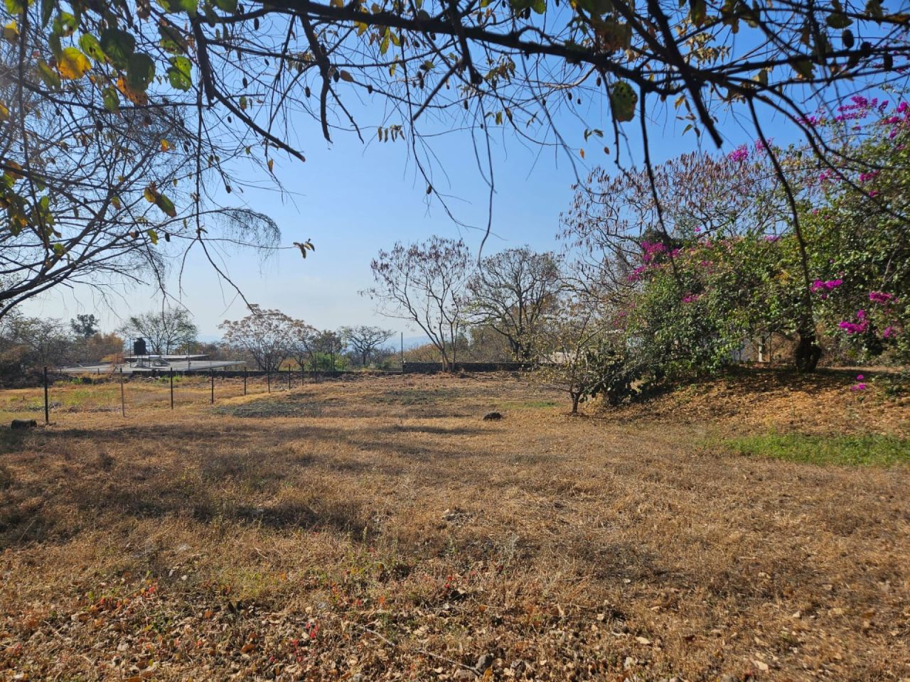 Terrenos en Santiago Tepetlapa