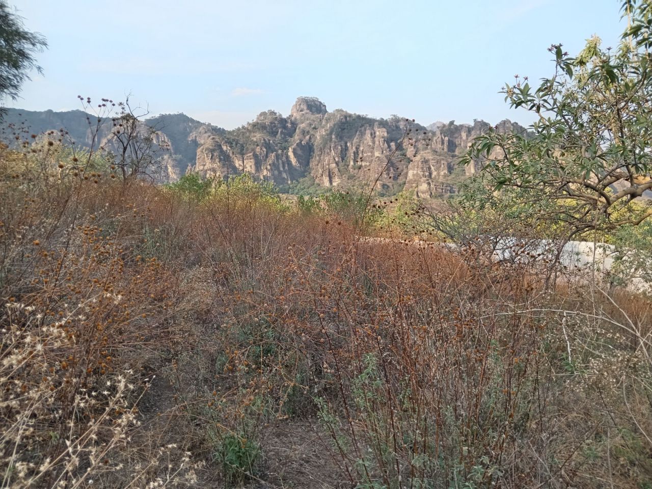 Terrenos en Santo Domingo Ocotitlan