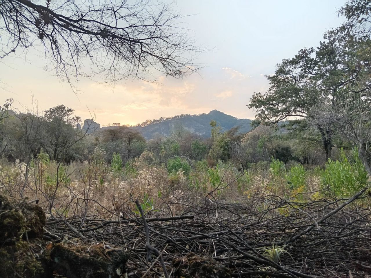 Terrenos en Santo Domingo Ocotitlan