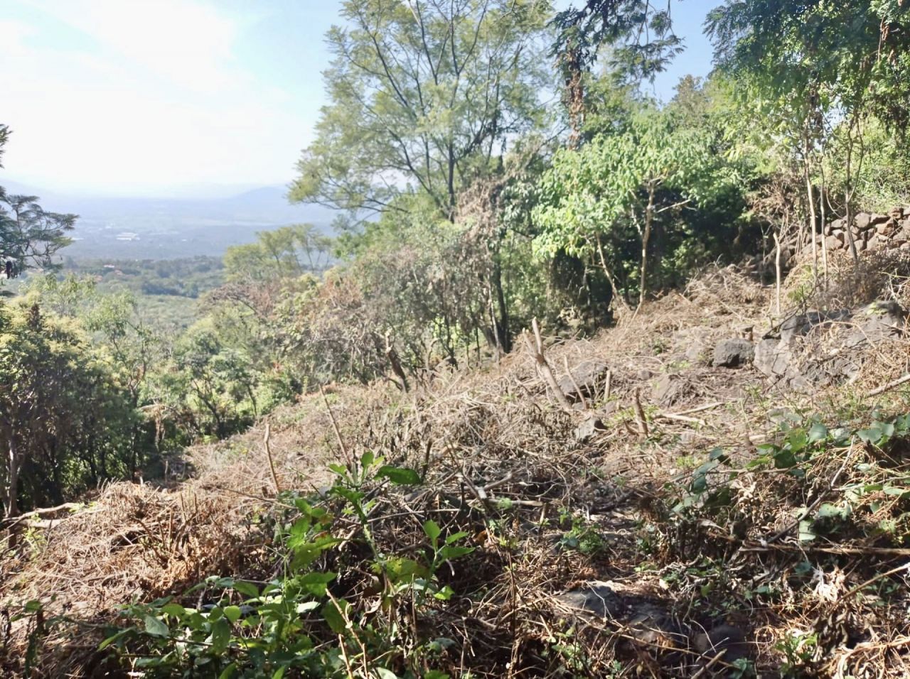 Terrenos en Del Carmen
