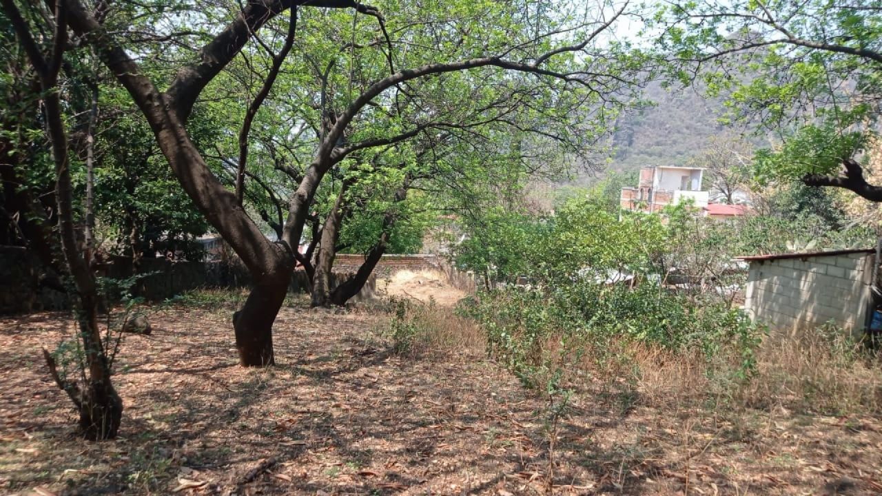 Terrenos en Huilotepec