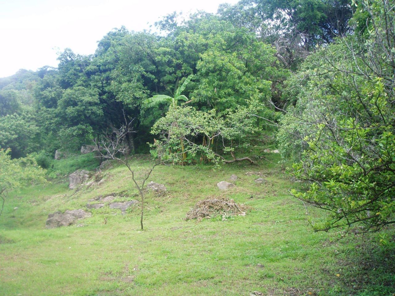 Terrenos en San Martín
