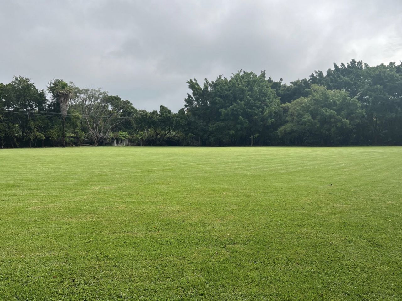 Terrenos en Tetecalita