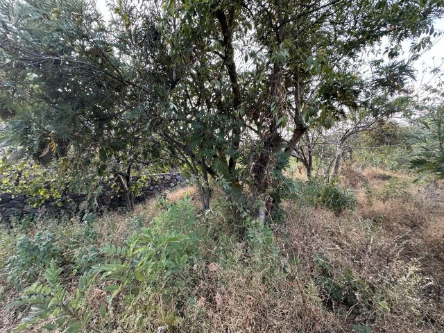 []