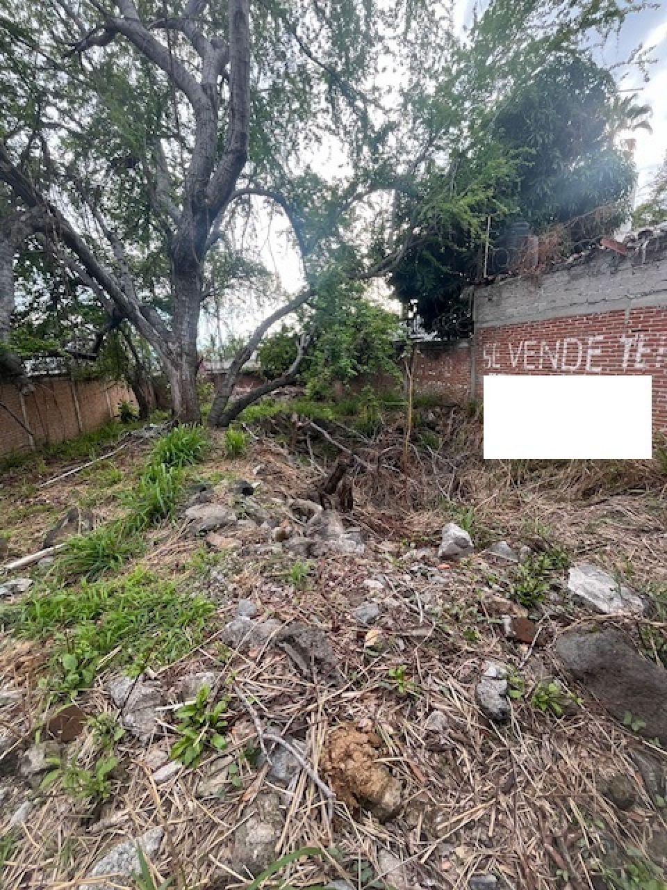 Terrenos en 3 de Mayo