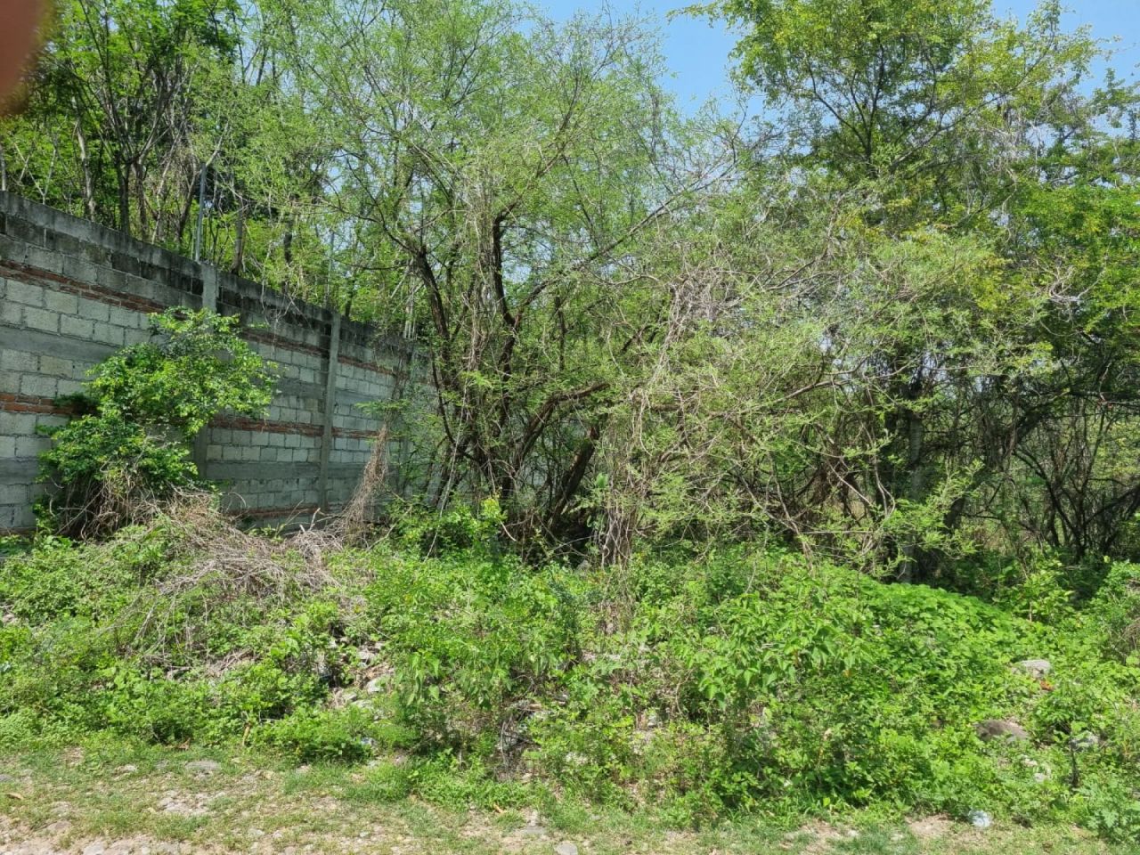 Terrenos en Huertos Miacatlan