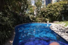 {"esp":"ALBERCA COMUN"}