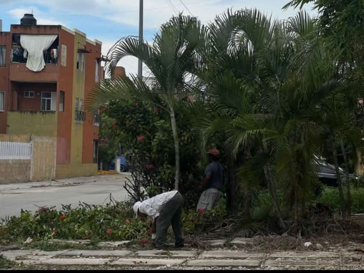 Casas en Villas Otoch Paraíso