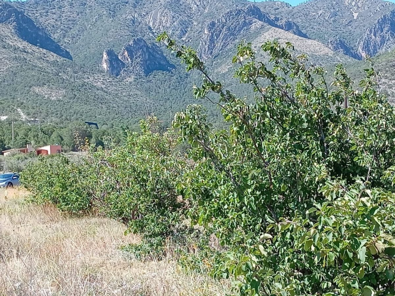 Rancho en Venta, La Carbonera