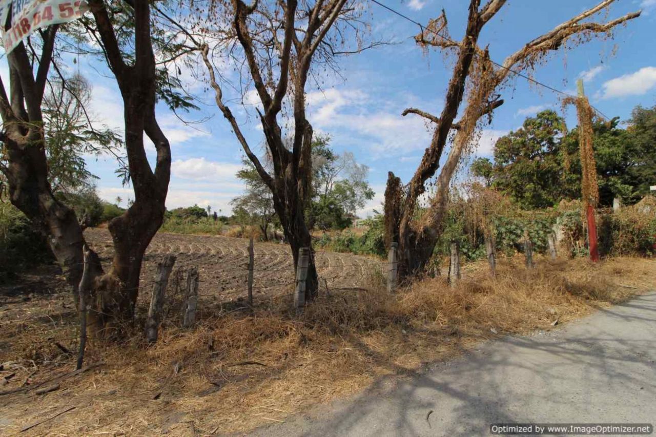 Terrenos en Temimilcingo