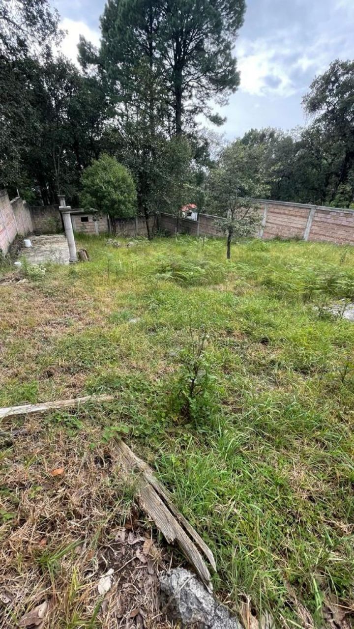 Terrenos en Monte Cassino