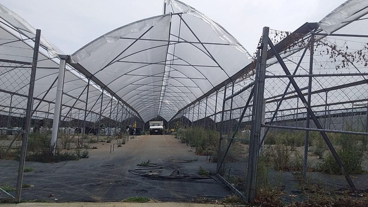 Terrenos en Tétela del Monte