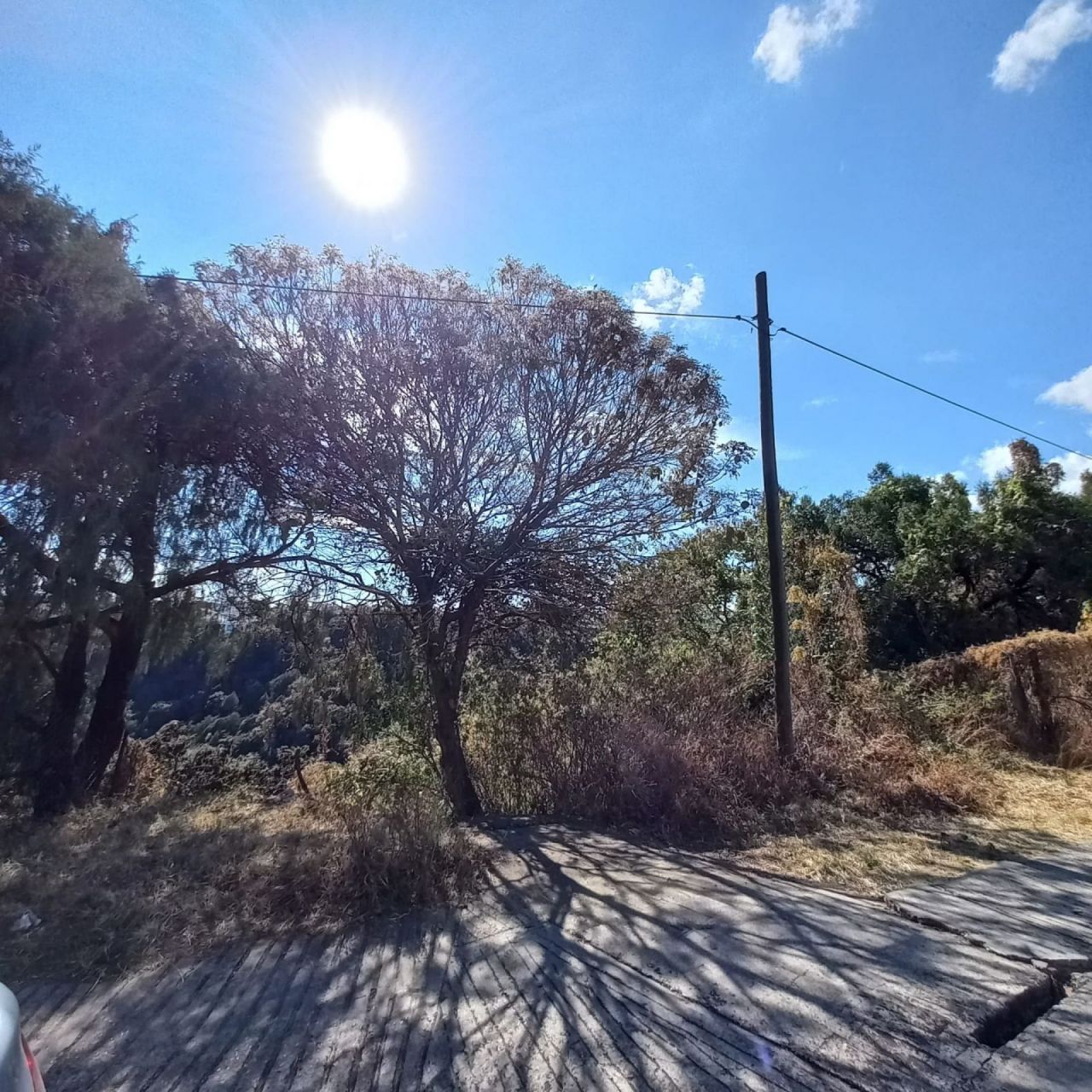 Terrenos en Lomas Tzompantle